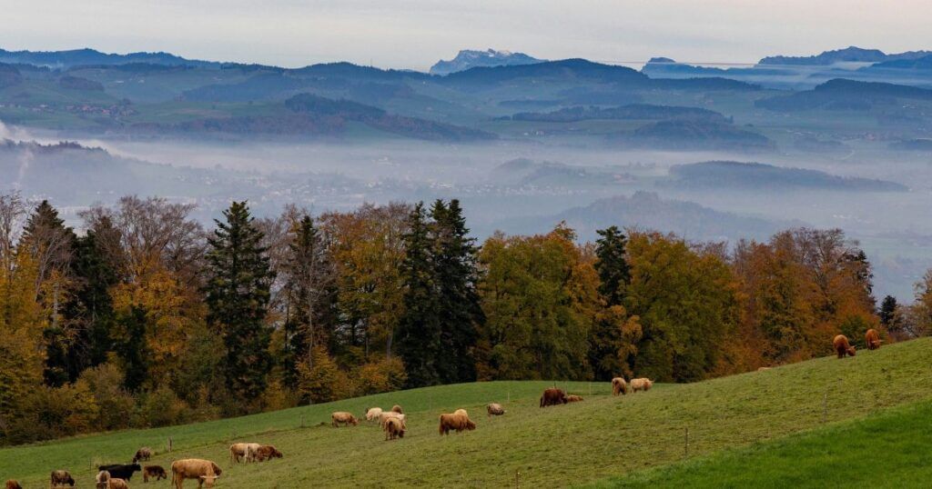 Ausflugsziele Bern